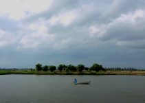 Video work for Pharmaq – Fish vaccinations in the Mekong Delta