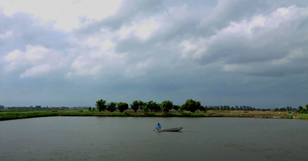 Still from Pharmaq's video